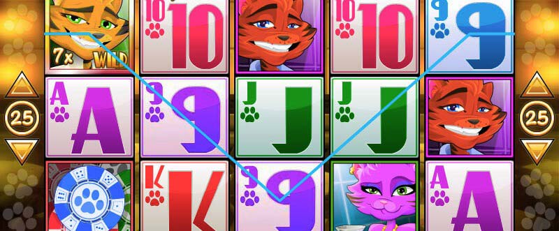 catsino slot game, chips, paw prints, bet amount