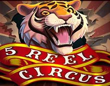 Tiger at a circus breaking through the paper barricade, black border,  5 Reel Circus game title