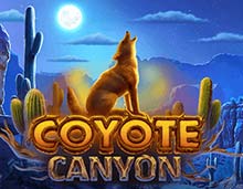 A brown, furry Coyote howling at the moon in the desert with the game title Coyote Canyon at the nottm. there are hues of blue to represent the darkness of the night